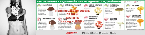 СК Верея