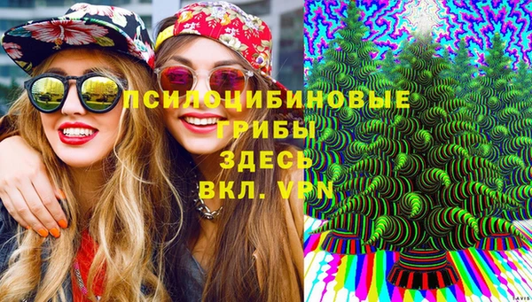 СК Верея